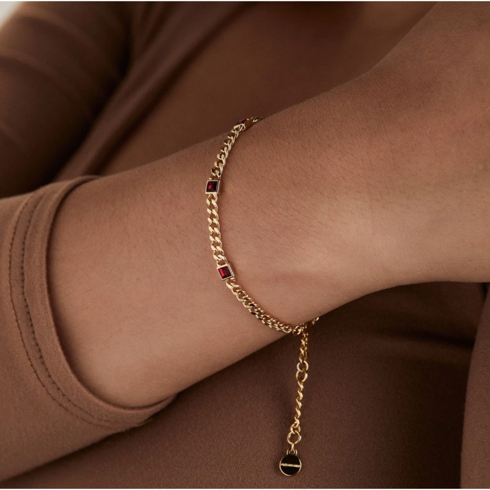 Alex and Ani JANUARY Garnet NEW Birthstone Curb Chain Bracelet Stackable Charm
